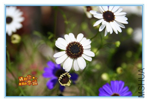 ��Ƭ 019_����.jpg