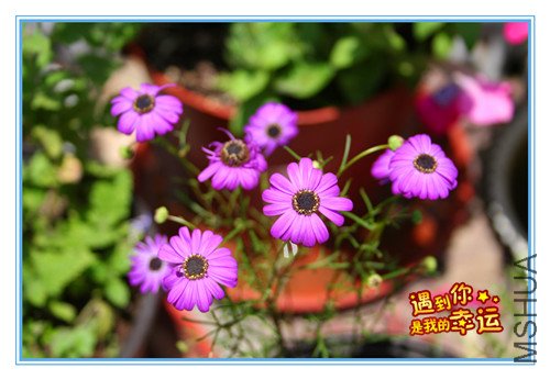 ��Ƭ 017_����.jpg