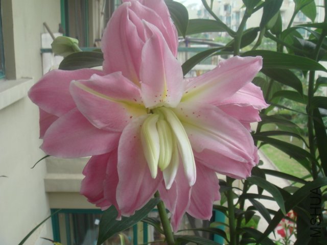 DSC09751.JPG