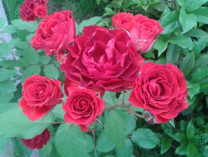 Q7{%(ONFJ2UBT@R52T00]CH.jpg