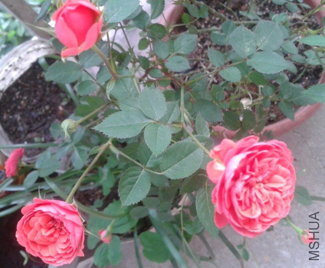 4()70D@P}J96F~MB9)]]DND.jpg