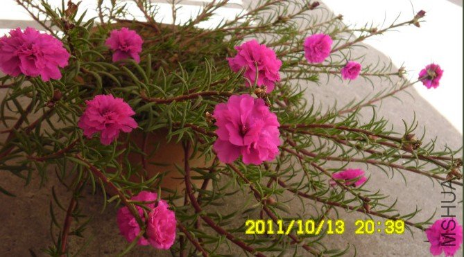 UGRG3BV@~5]TCRR2U9QN@`2.jpg