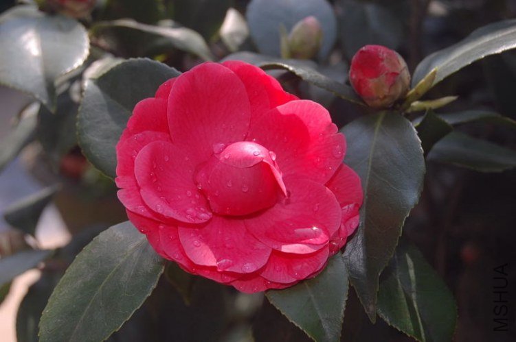 DSC_01890189.JPG