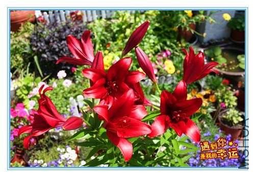 ��Ƭ 004_����2_����.jpg