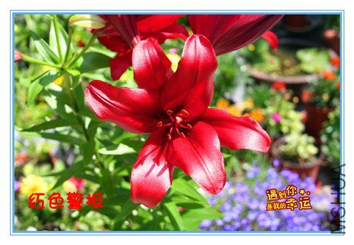 ��Ƭ 007_����3_����.jpg