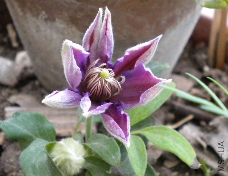 DSCN4768.JPG