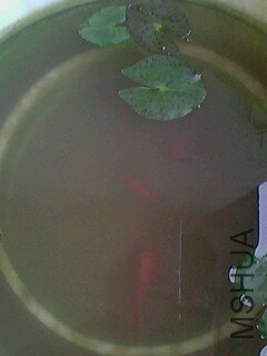 ����һ����֪������