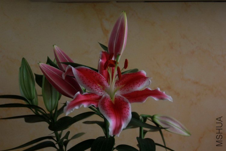 ����һ��