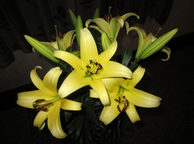 QQ��ͼ20120604213320.jpg