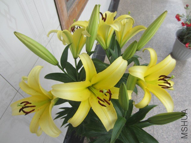 QQ��ͼ20120604213344.jpg