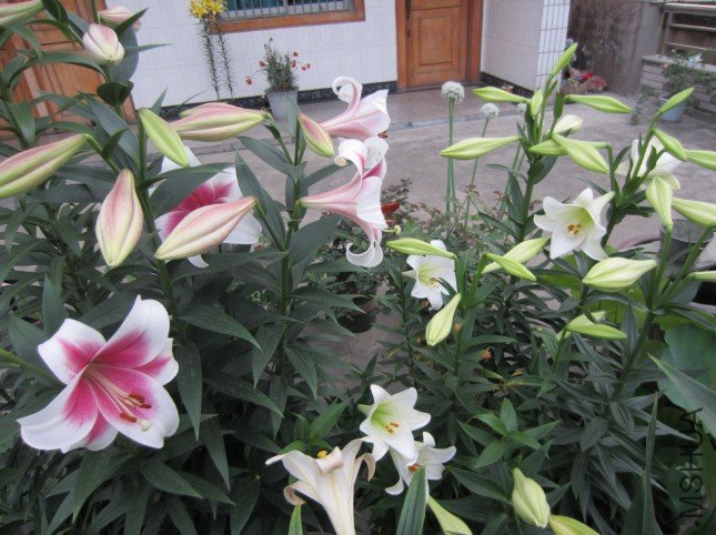 QQ��ͼ20120604213358.jpg