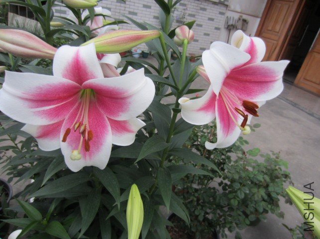 QQ��ͼ20120604213409.jpg