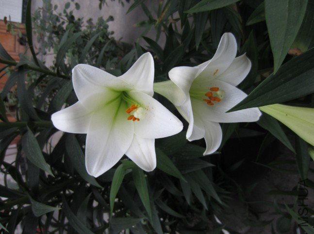 QQ��ͼ20120604213418.jpg