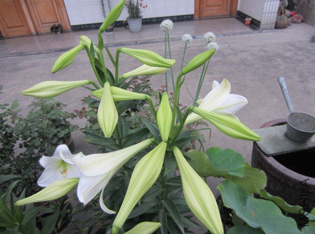 QQ��ͼ20120604213426.jpg