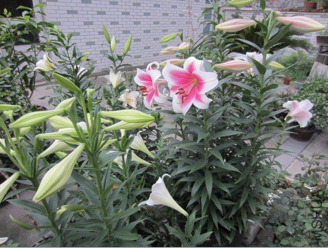 QQ��ͼ20120604213437.jpg