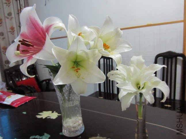 QQ��ͼ20120604213454.jpg