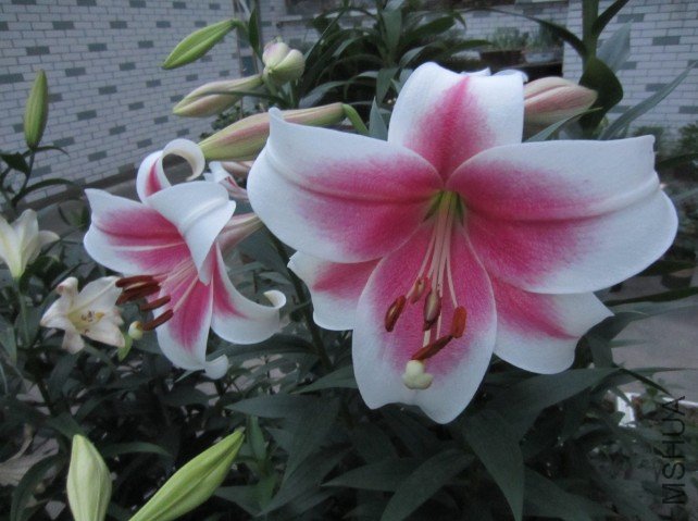 QQ��ͼ20120604213506.jpg