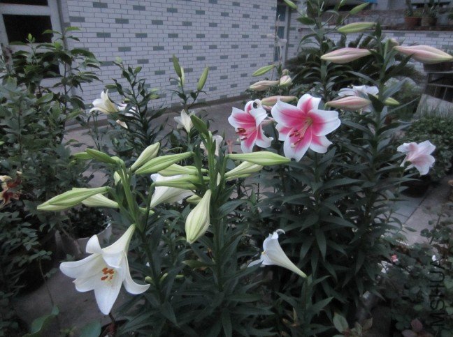 QQ��ͼ20120604213518.jpg