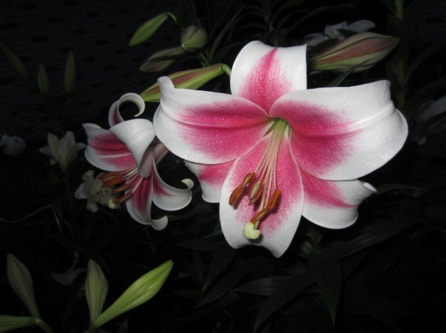 QQ��ͼ20120604213526.jpg