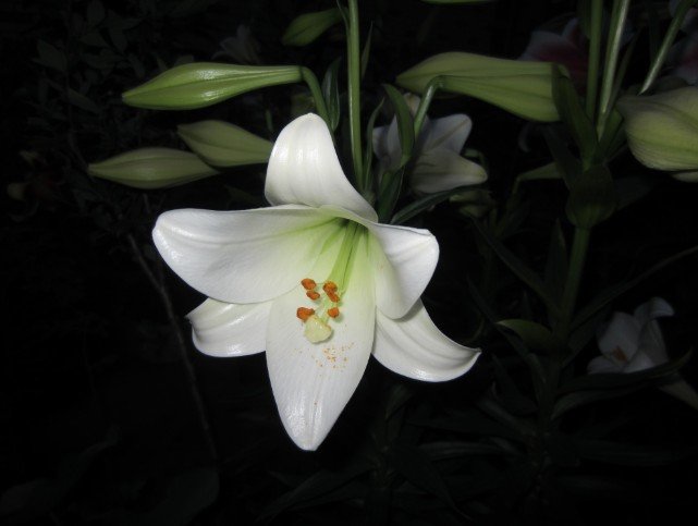 QQ��ͼ20120604213534.jpg