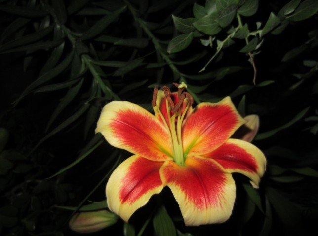 QQ��ͼ20120604213542.jpg