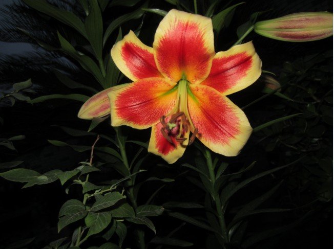 QQ��ͼ20120604213551.jpg