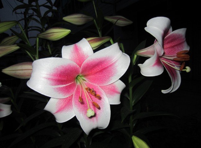 QQ��ͼ20120604213559.jpg