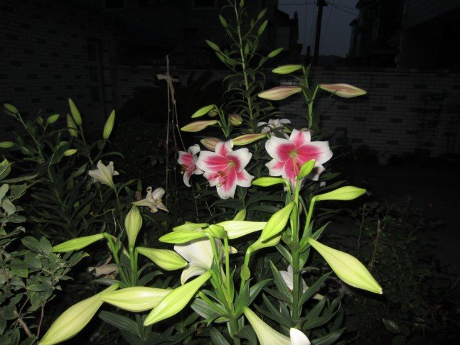 QQ��ͼ20120604213619.jpg