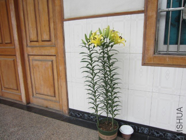 QQ��ͼ20120604214311.jpg