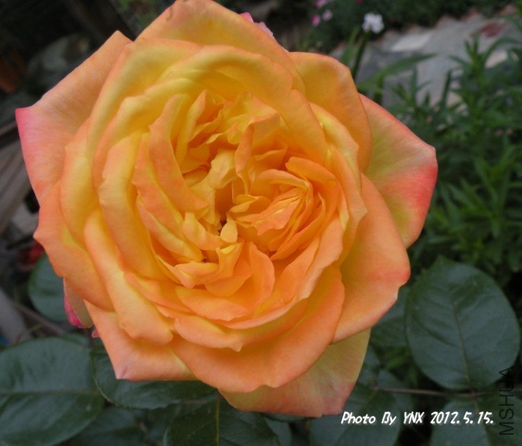 2012.5.15. 029_conew2.jpg