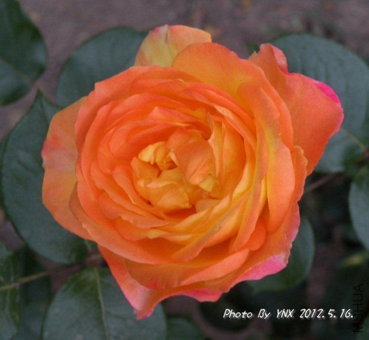 2012.5.16. 017_conew2.jpg