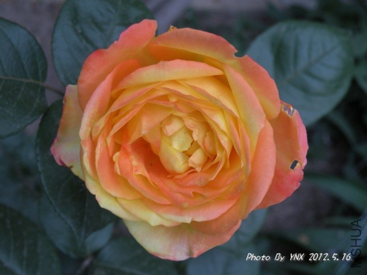 2012.5.16. 018_conew2.jpg