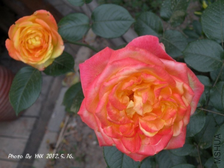 2012.5.16. 019_conew2.jpg