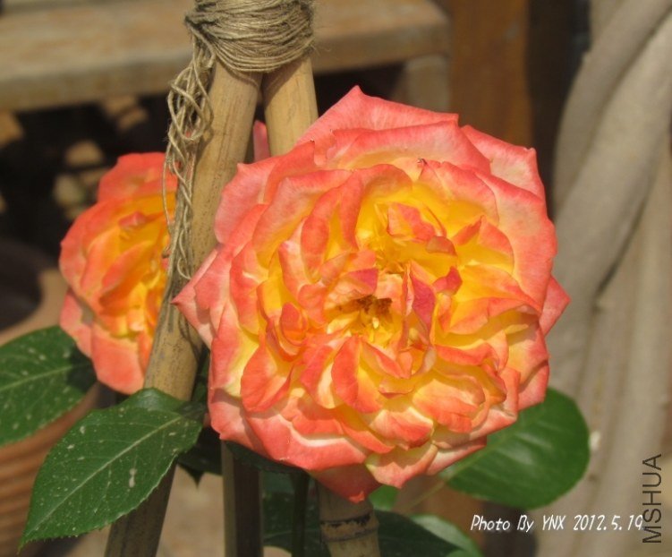 2012.5.19. 039_conew2.jpg