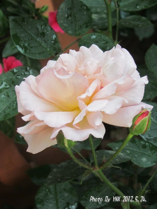 2012.5.24. 028_conew2.jpg