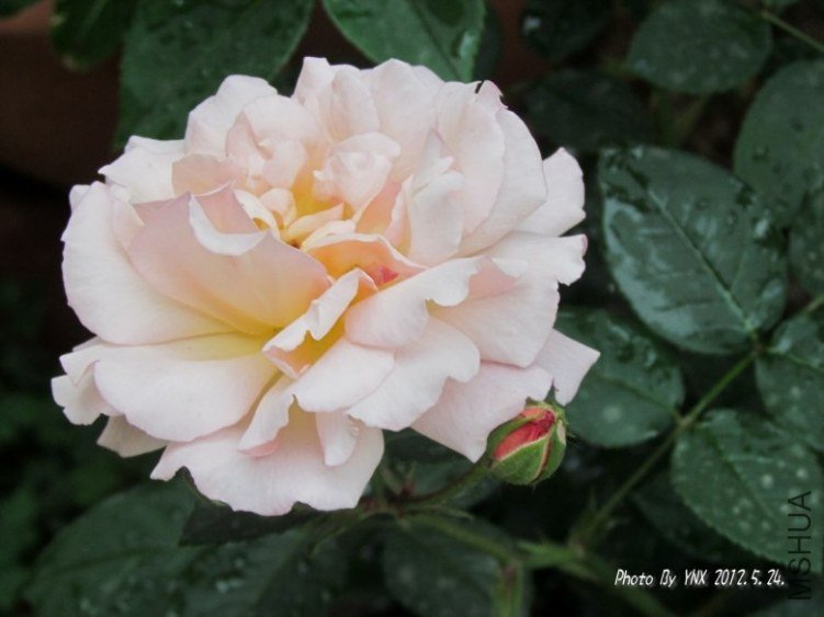 2012.5.24. 030_conew2.jpg