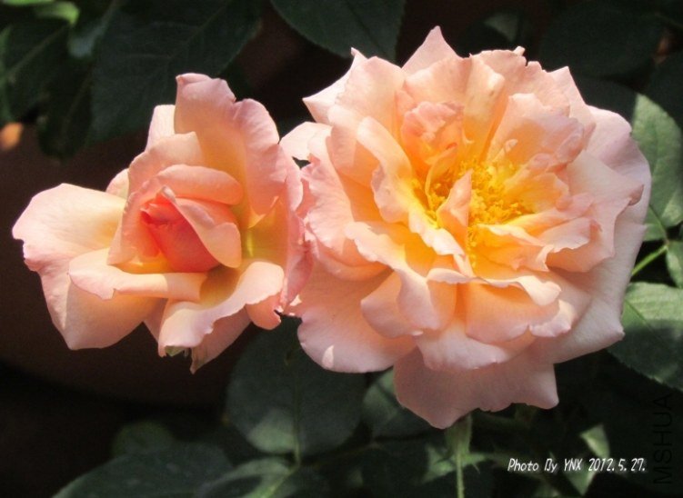 2012.5.27. 037_conew2.jpg