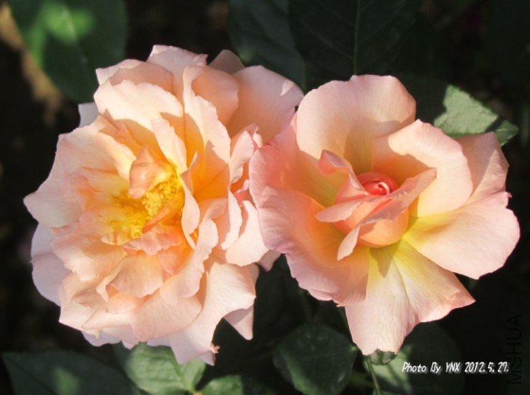 2012.5.27. 036_conew1.jpg