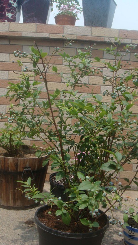 DSC04993.JPG