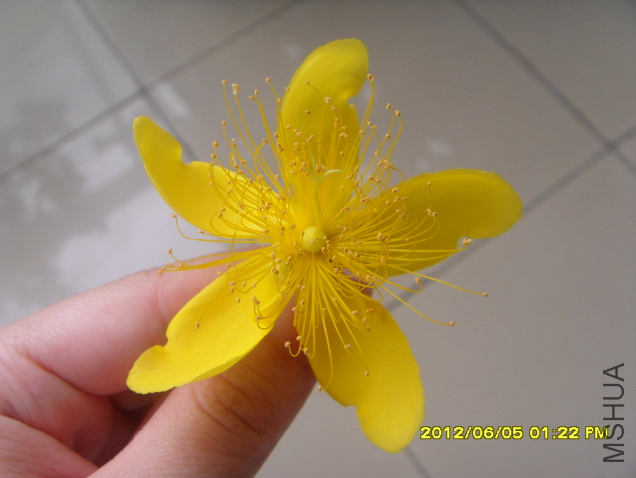 QQ��ͼ20120605150413.png