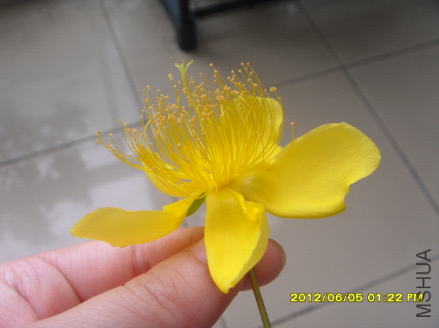 QQ��ͼ20120605150454.png