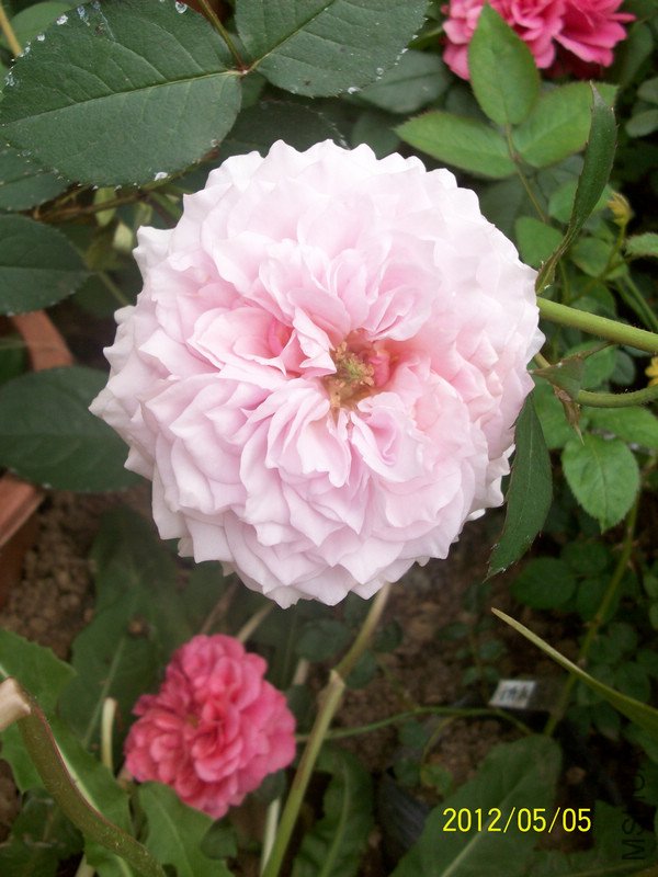 ���� ����.jpg