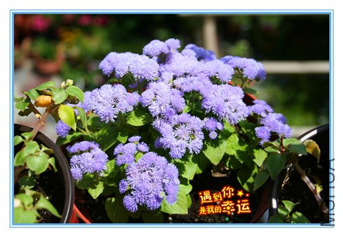 ��Ƭ 059_������2.jpg