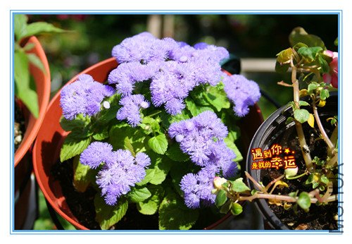 ��Ƭ 060_����3.jpg