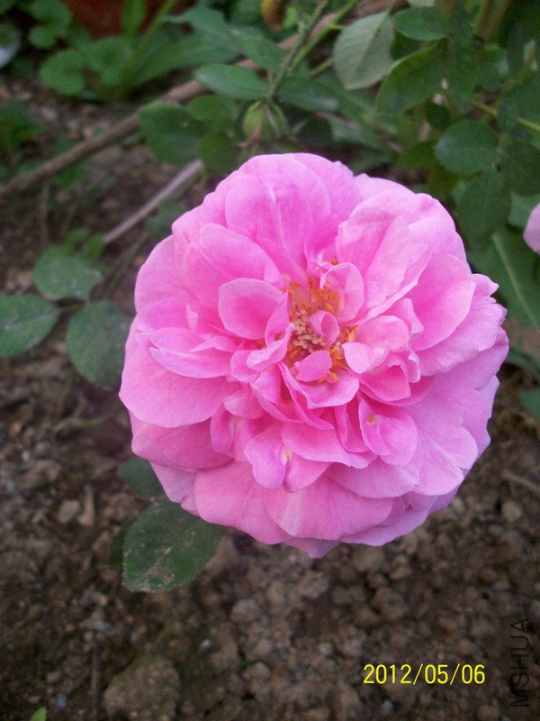 ���� ��³�صµĻ���6.jpg