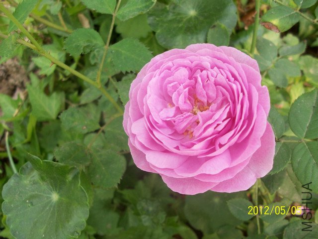 ���� ·��1.jpg