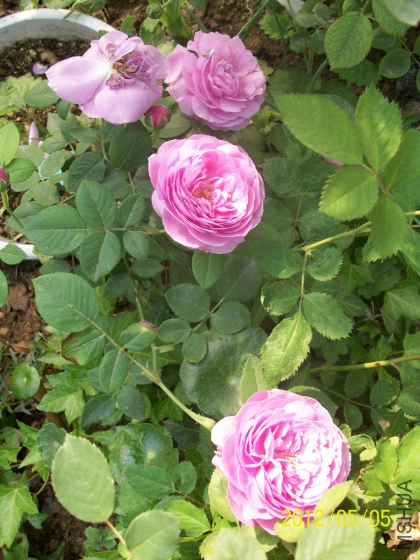 ���� ·��2.jpg