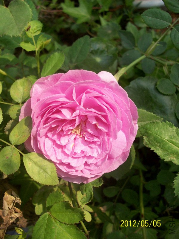 ���� ·��3.jpg