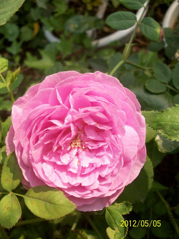 ���� ·��4.jpg