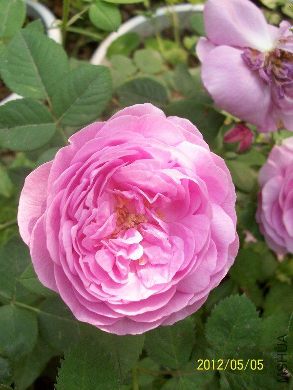 ���� ·��5.jpg